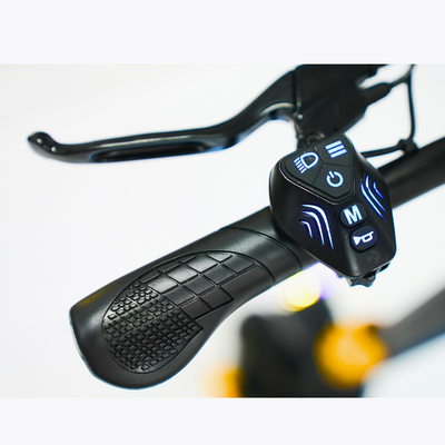 Evgrit F2 Pro 48V Folding Off-Road E-Scooter